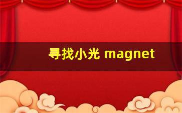 寻找小光 magnet